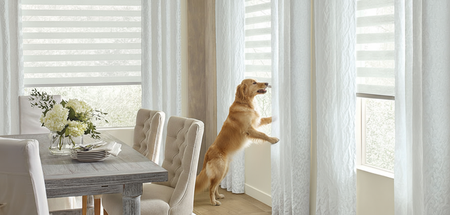 6 Best Pet Friendly Window Shades That Your Furry Friends Won't Destroy