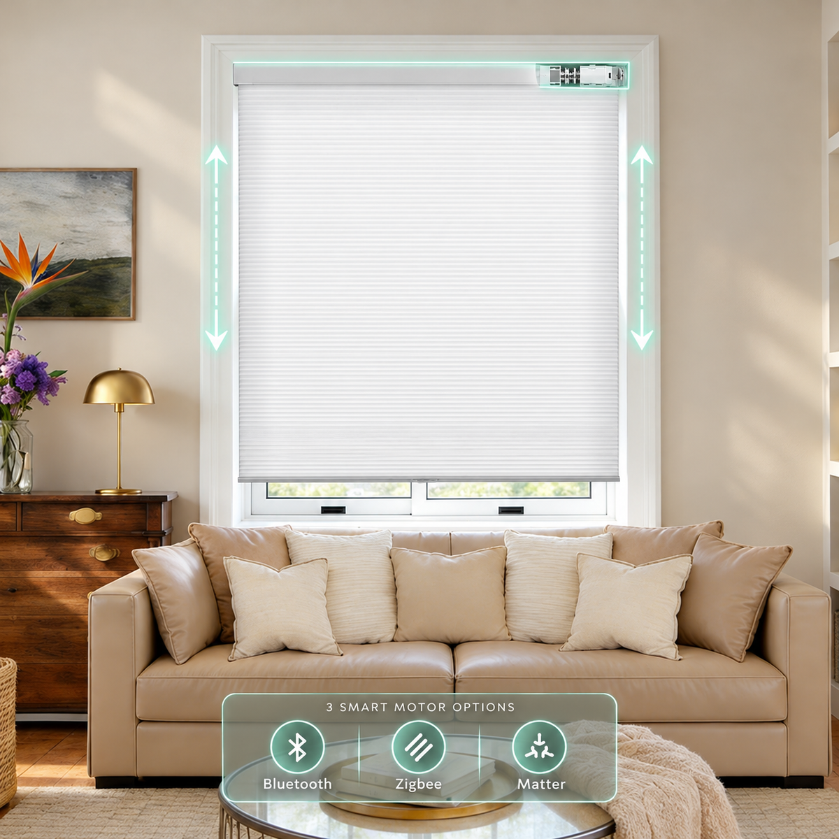 Motorized Single Cell Blackout & Light Filtering Cellular Shades