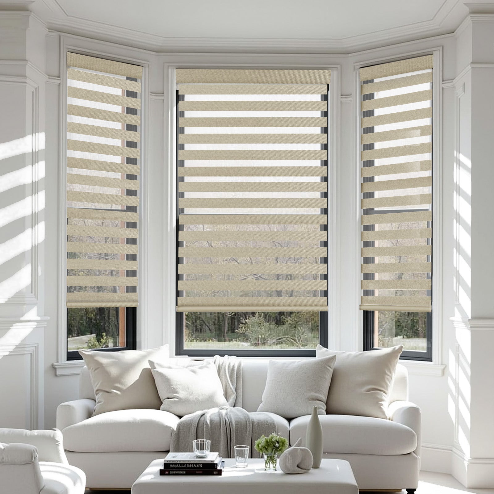 zebra shades for window