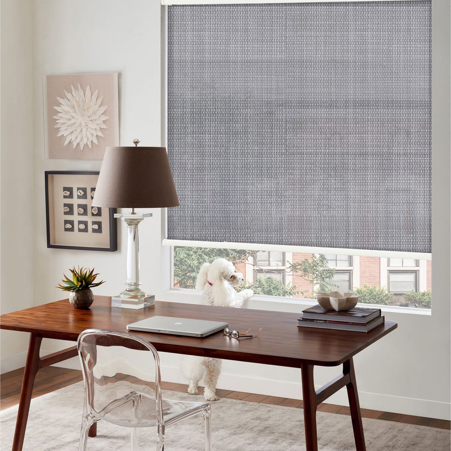AOSKY Light Filtering Roller Shades | Custom Fit for Any Window