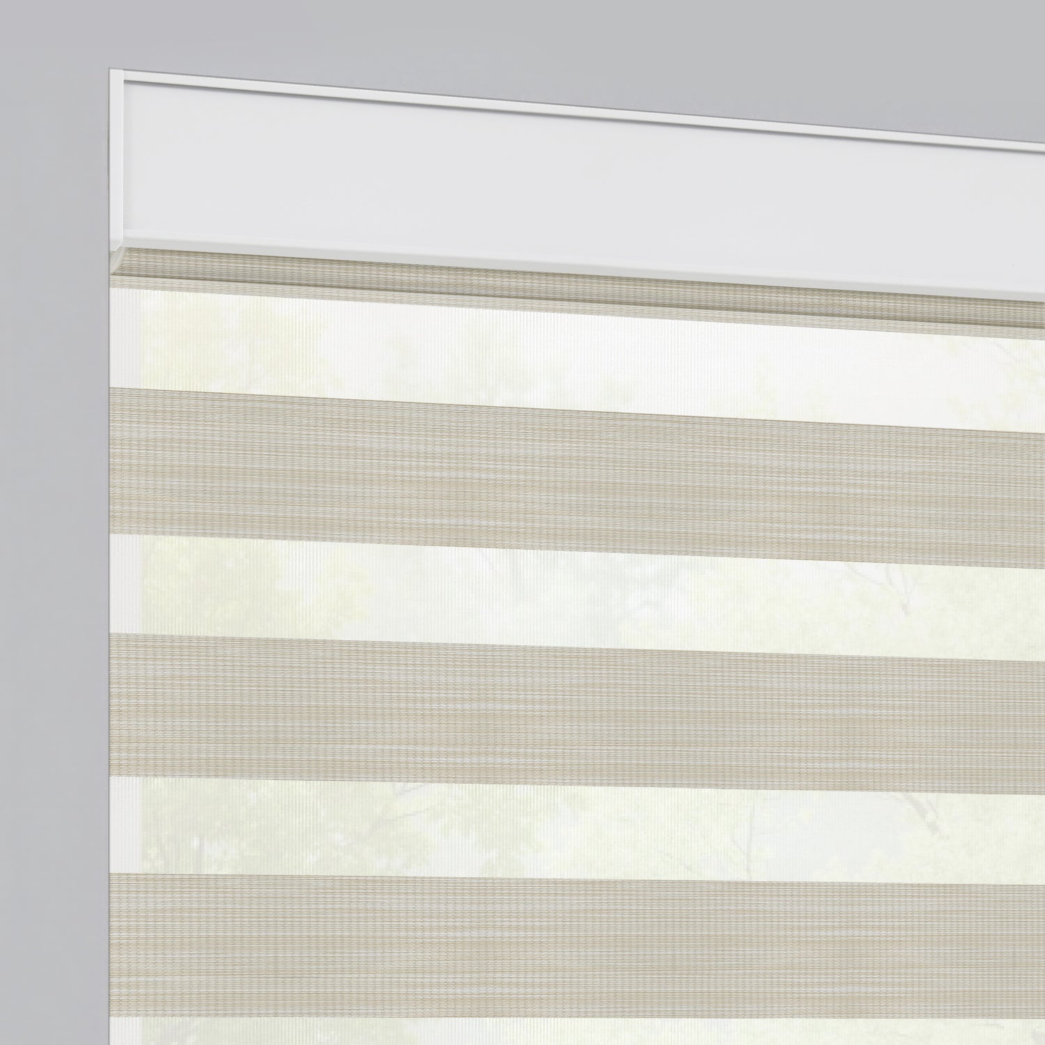 Central Park Natural Aesthetics Zebra Shades