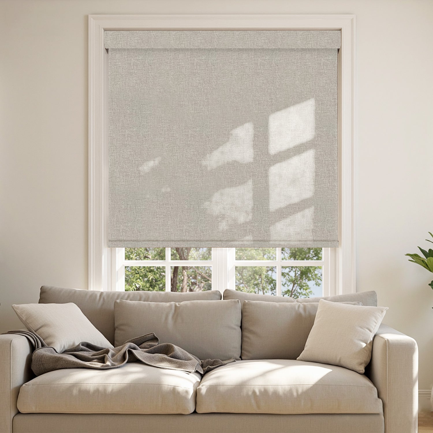 Graphite Blackout Roller Shades