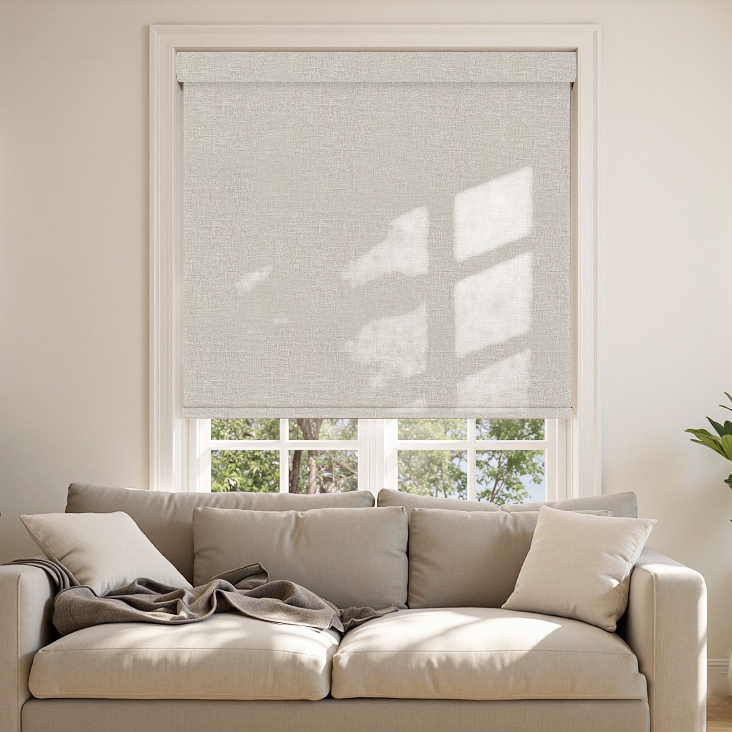 Graphite Blackout Roller Shades